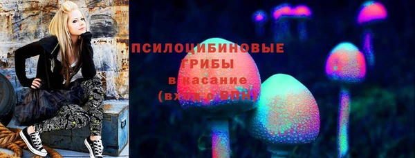 спайс Карталы