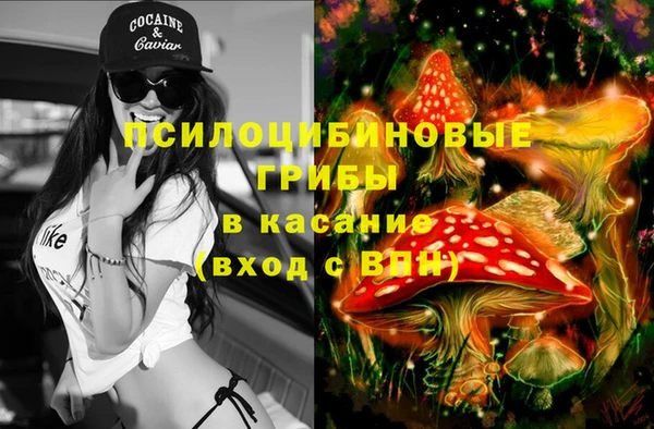 спайс Карталы