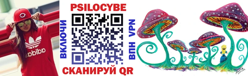 Купить закладки  Лянтор  Галлюциногенные грибы Cubensis 